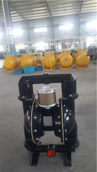 進(jìn)口隔膜泵廠家